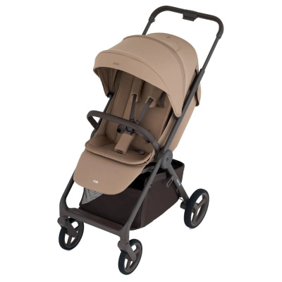 Детская прогулочная коляска Anex Ride (RD-02) Warmly 01
